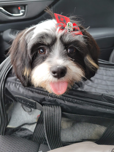 Pet Supply Store «PetSmart», reviews and photos, 825 Pilgrim Way, Green Bay, WI 54304, USA