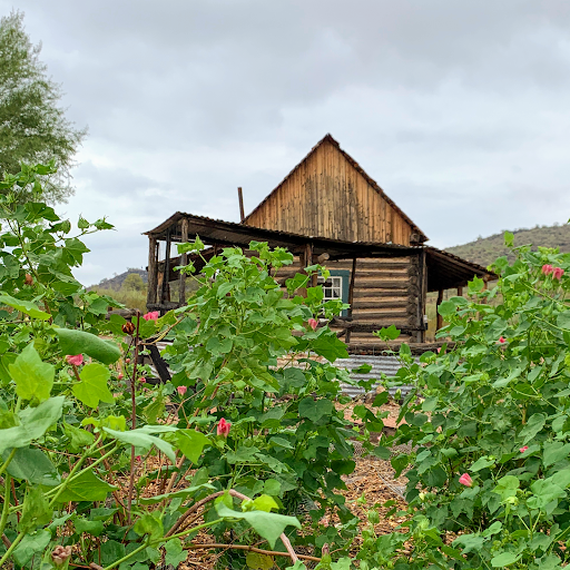 History Museum «Pioneer Living History Museum», reviews and photos, 3901 W Pioneer Rd, Phoenix, AZ 85086, USA
