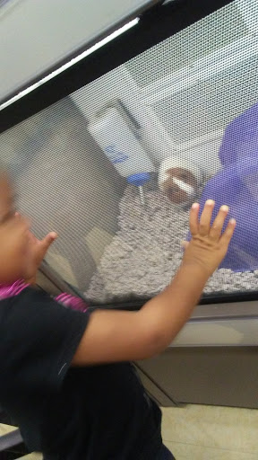 Pet Supply Store «Petco Animal Supplies», reviews and photos, 6140 University Dr, Huntsville, AL 35806, USA