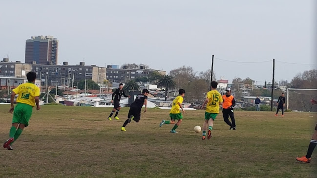 Cancha Danubio Ingeniero del campo