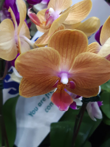 Home Improvement Store «The Home Depot», reviews and photos, 500 S Santa Fe Dr, Denver, CO 80223, USA