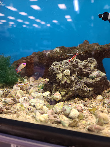 Pet Supply Store «Petco Animal Supplies», reviews and photos, 450 N Rte 17, Paramus, NJ 07652, USA