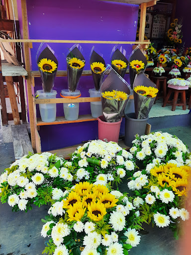 Florería Crystal – Cuautla