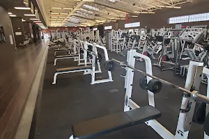 Area 41 Fitness Center image