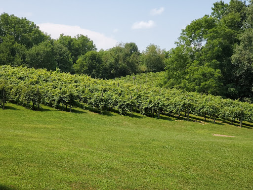 Winery «Three Oaks Vineyard LLC», reviews and photos, 1591 Crosley Rd, Granville, OH 43023, USA