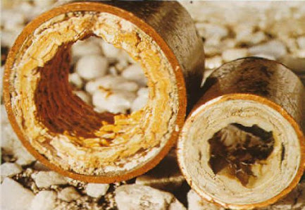Descalcificar tuberias 