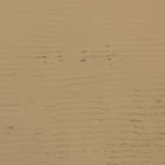 Photo n°11 de l'avis de Colette.n fait le 21/09/2022 à 10:22 sur le  Cece & Simo à Bergamo