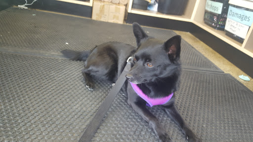 Pet Supply Store «Pet Supplies Plus», reviews and photos, 531 Monroe Ave, Rochester, NY 14607, USA