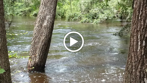 Park «Lithia Springs Park», reviews and photos, 3932 Lithia Springs Rd, Lithia, FL 33547, USA