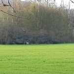 Photo n°2 de l'avis de Andrei.t fait le 15/04/2023 à 08:18 sur le  Friedenfels à Friedenfels