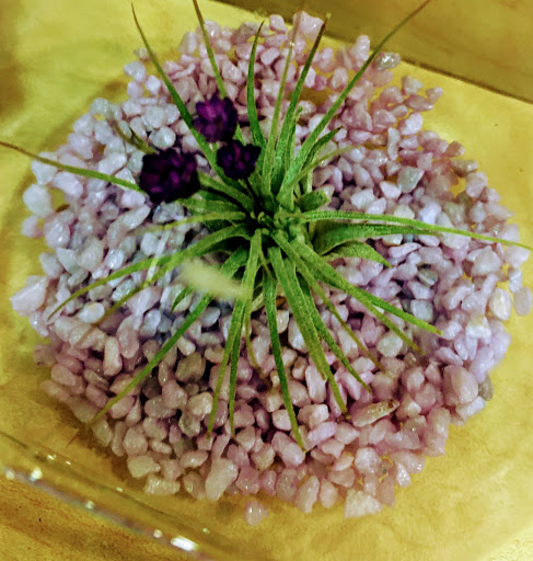 Grocery Store «Giant Food Stores», reviews and photos, 50 Wynnewood Rd, Wynnewood, PA 19096, USA