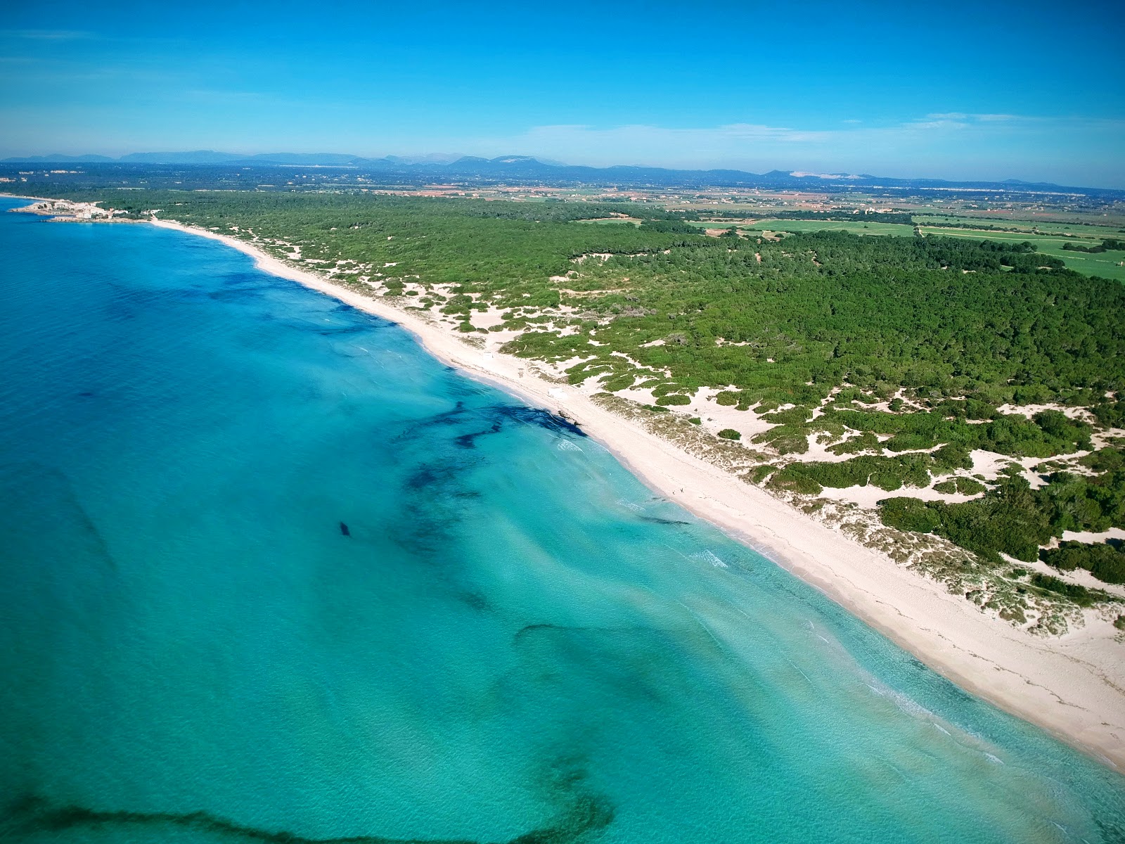 Foto di Platja Des Trenc con molto pulito livello di pulizia