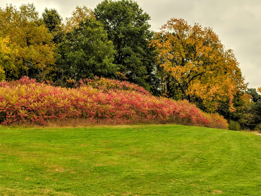 Golf Course «Chemung Hills Golf Club & Banquet Center», reviews and photos, 3125 Golf Club Rd, Howell, MI 48843, USA