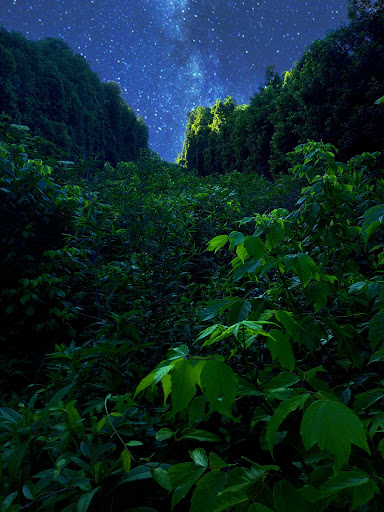 Bicycle Rental Service «Silver Comet Cycles», reviews and photos, 4342 Floyd Rd SW, Mableton, GA 30126, USA