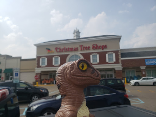 Home Goods Store «Christmas Tree Shops», reviews and photos, 2264 Miamisburg Centerville Rd, Dayton, OH 45459, USA