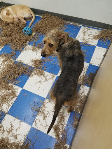 Pet Supply Store «Pets Plus - Bensalem», reviews and photos, 1336 Bristol Pike, Bensalem, PA 19020, USA