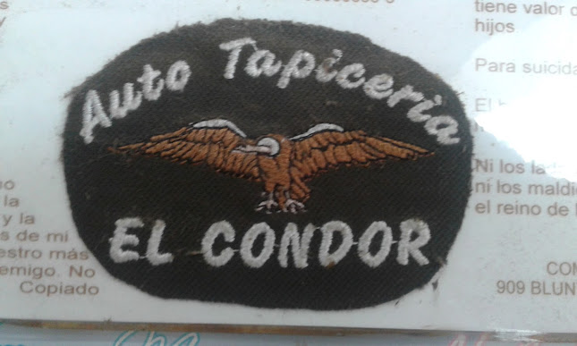 Comentarios y opiniones de Auto Tapiceria El Condor