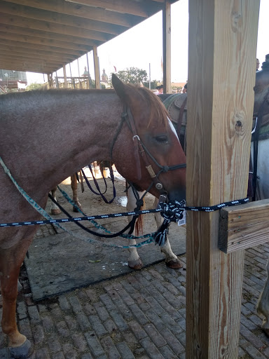 Zoo «Petting Zoo», reviews and photos, 829 E Exchange Ave, Fort Worth, TX 76164, USA