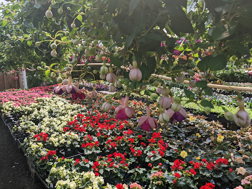 Garden Center «Quality Gardens», reviews and photos, 409 PA-228, Valencia, PA 16059, USA