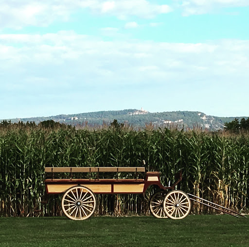 Produce Market «Saunderskill Farms», reviews and photos, 5100 US-209, Accord, NY 12404, USA