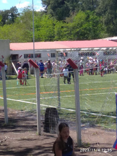 Complejo TFC - Tienda de deporte