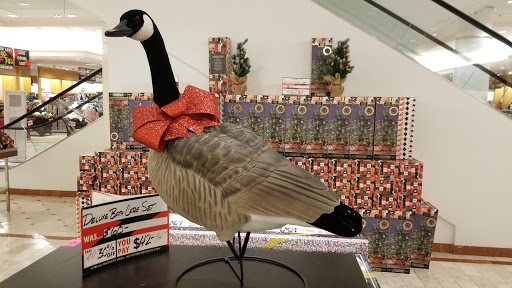 Department Store «Lord & Taylor», reviews and photos, 21050 Dulles Town Center, Sterling, VA 20166, USA