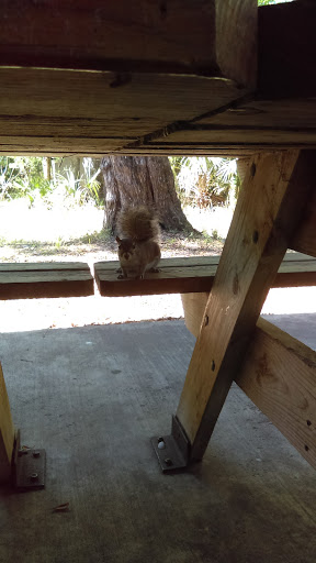 Cafe «Hillsborough State Park Poolside Cafe», reviews and photos, 15402 U.S. 301, Thonotosassa, FL 33592, USA