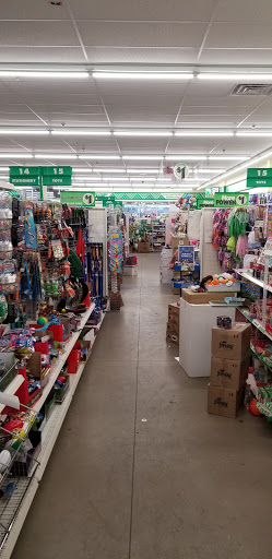 Dollar Store «Dollar Tree», reviews and photos, 176 Newington Rd, West Hartford, CT 06110, USA
