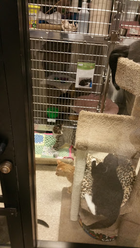 Pet Supply Store «PetSmart», reviews and photos, 60 NJ-17, Paramus, NJ 07652, USA