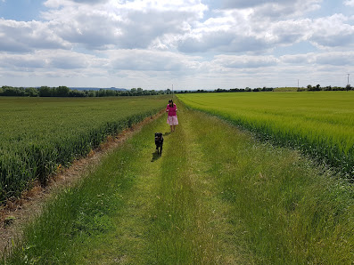Cannings Cross Farms Ltd Cannings Cross, Farm, All Cannings, Devizes SN10 3NP, United Kingdom