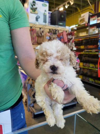 Pet Store «Critter Cabana - Wilsonville», reviews and photos, 8406 SW Main St #200, Wilsonville, OR 97070, USA