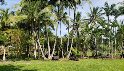 Coconut Grove Hana