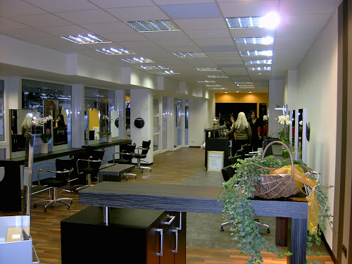 Trend Hair Friseur & Shop à Soltau