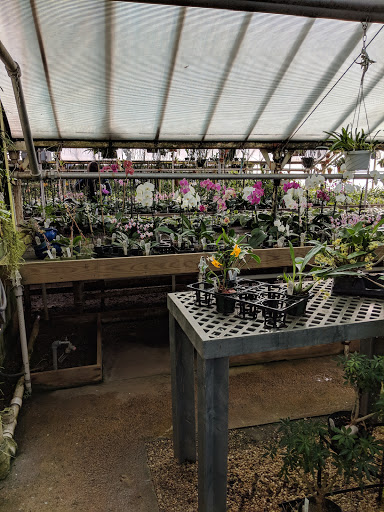 Florist «Little Brook Orchids», reviews and photos, 25 Rider Ave, Lancaster, PA 17603, USA