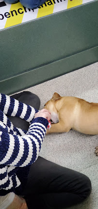 Petland Montgomery - Photo 5 - Car repair in Montgomery, AL, Montgomery