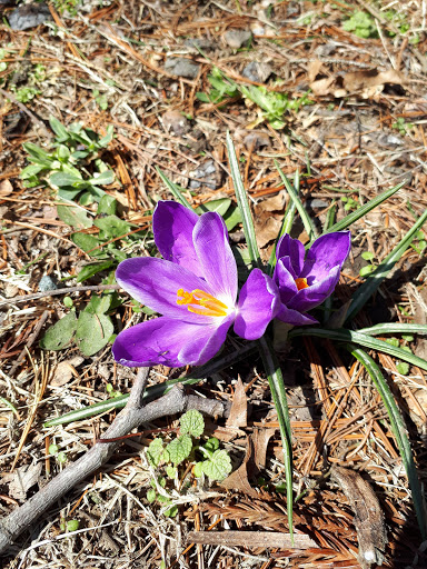 Park «Hart`s Brook Park and Preserve», reviews and photos, 156 Ridge Rd, Hartsdale, NY 10530, USA