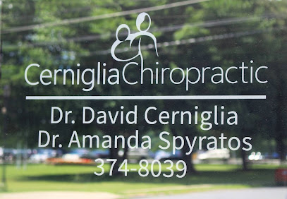 Cerniglia Chiropractic - Chiropractor in Scotia New York