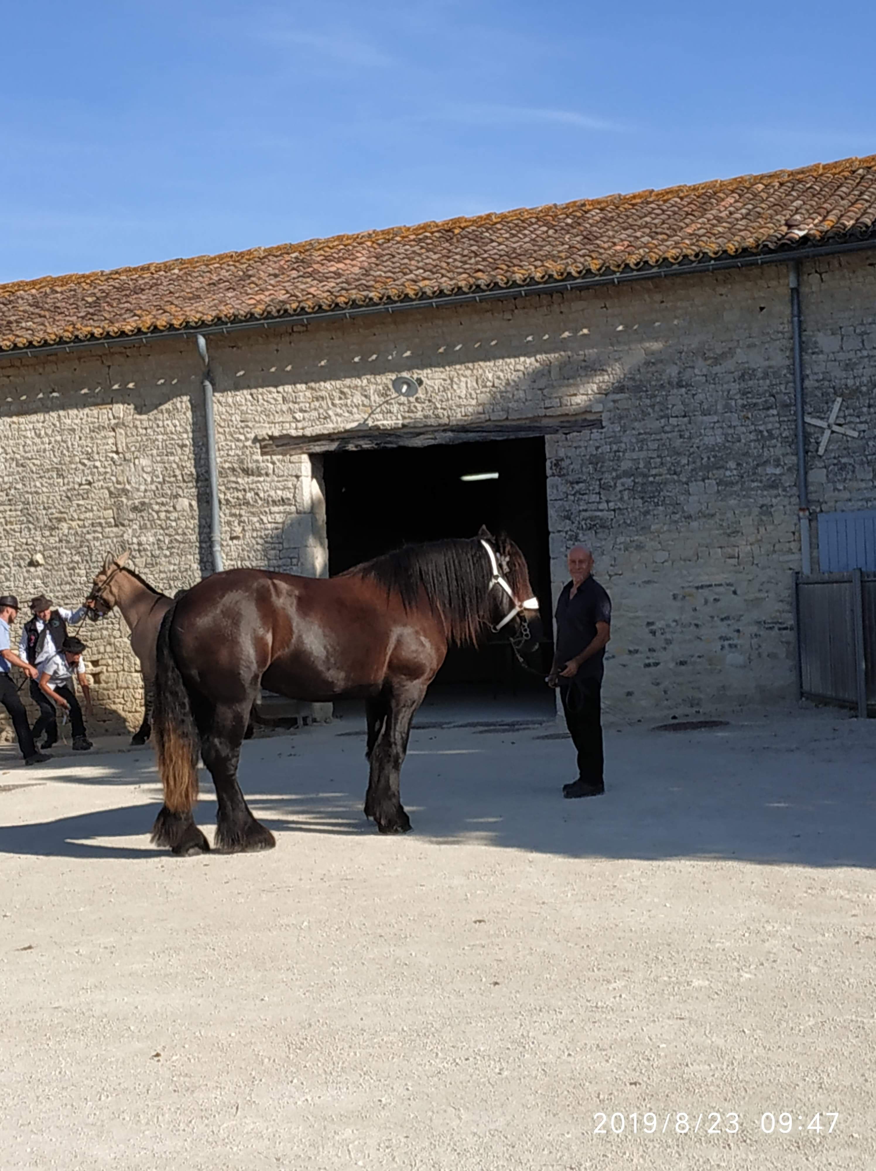Photo n° 1 de l'avis de Sarah.h fait le 06/09/2019 à 20:55