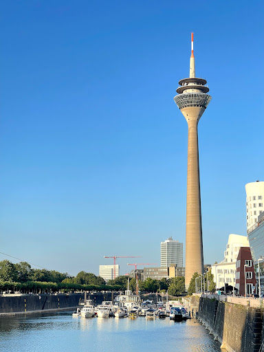 Websites erhalten eine Navigationslizenz Düsseldorf