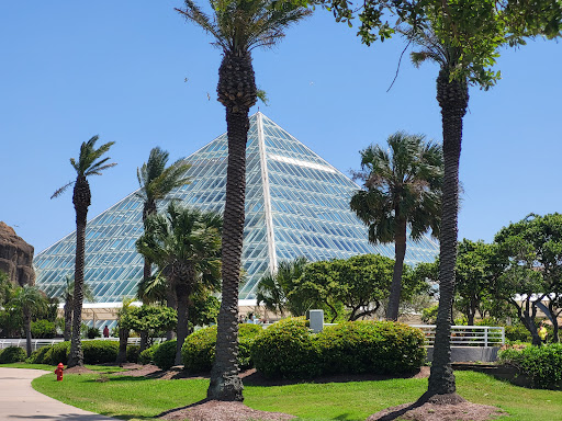 Zoo «Rainforest Pyramid», reviews and photos, 1 Hope Blvd, Galveston, TX 77554, USA