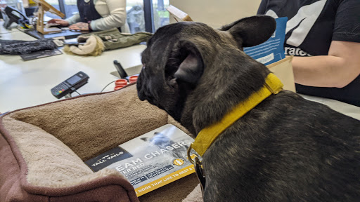 Pet Supply Store «Planet Dog Company Store», reviews and photos, 211 Marginal Way, Portland, ME 04101, USA