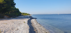 Plage de Figuerolles'in fotoğrafı dağlarla çevrili