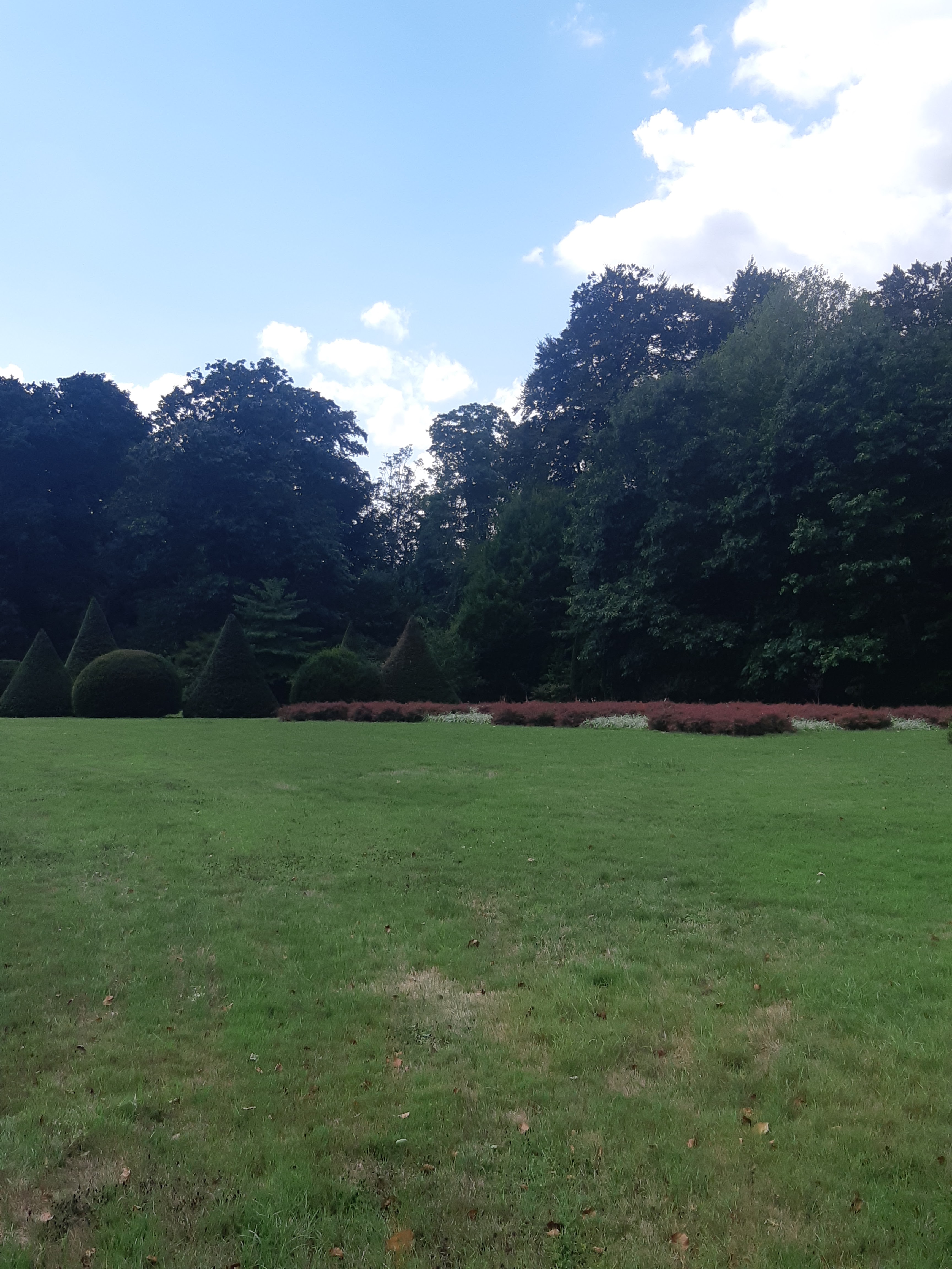 Photo n° 15 de l'avis de Monnin.h fait le 30/08/2022 à 15:51