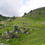 Photo n°12 de l'avis de Marco.a fait le 14/06/2018 à 21:04 sur le  Malga Moda à Borso del Grappa