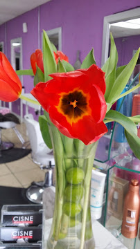 Cisne Beauty Salon - Photo 9 - Car repair in Garland, TX, Garland