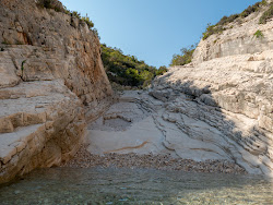 Mala Pritiscina Beach'in fotoğrafı vahşi alan