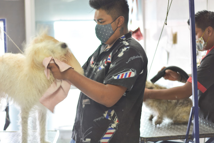 Foto de Veterinaria en Álvaro Obregón, Ciudad de México, Ciudad de México