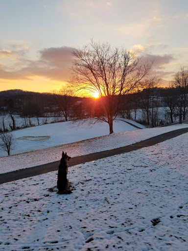 Country Club «Greenhills Country Club», reviews and photos, Old Rte 56, Ravenswood, WV 26164, USA