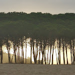 Photo n°1 de l'avis de zuleika.i fait le 05/08/2016 à 11:21 sur le  Sard Cafè à Bari Sardo