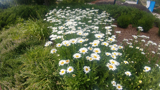 Botanical Garden «Conservation Garden Park», reviews and photos, 8275 1300 W, West Jordan, UT 84088, USA